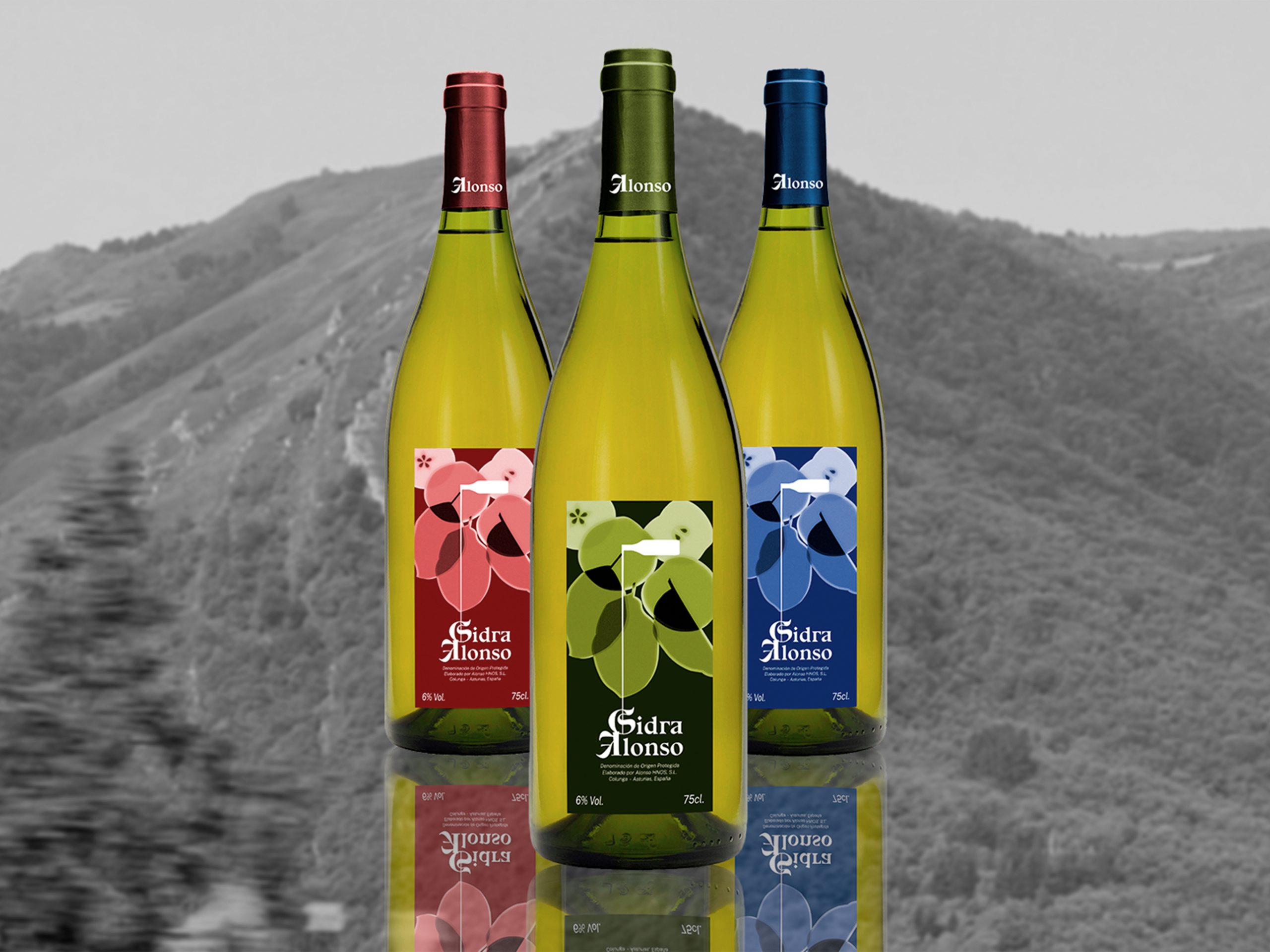 Imagen_portada_sidra_alonso_conjunto