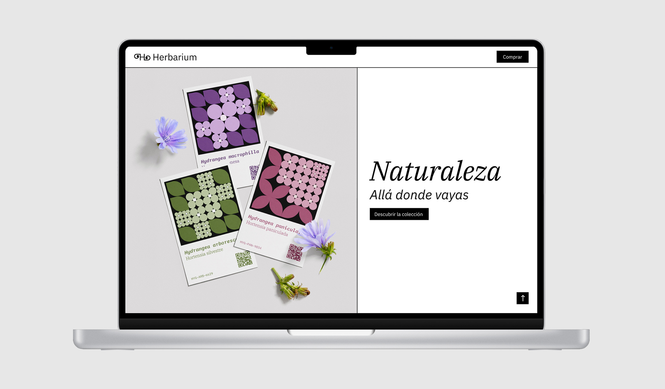 Mockup_landing_page_herbarium_1