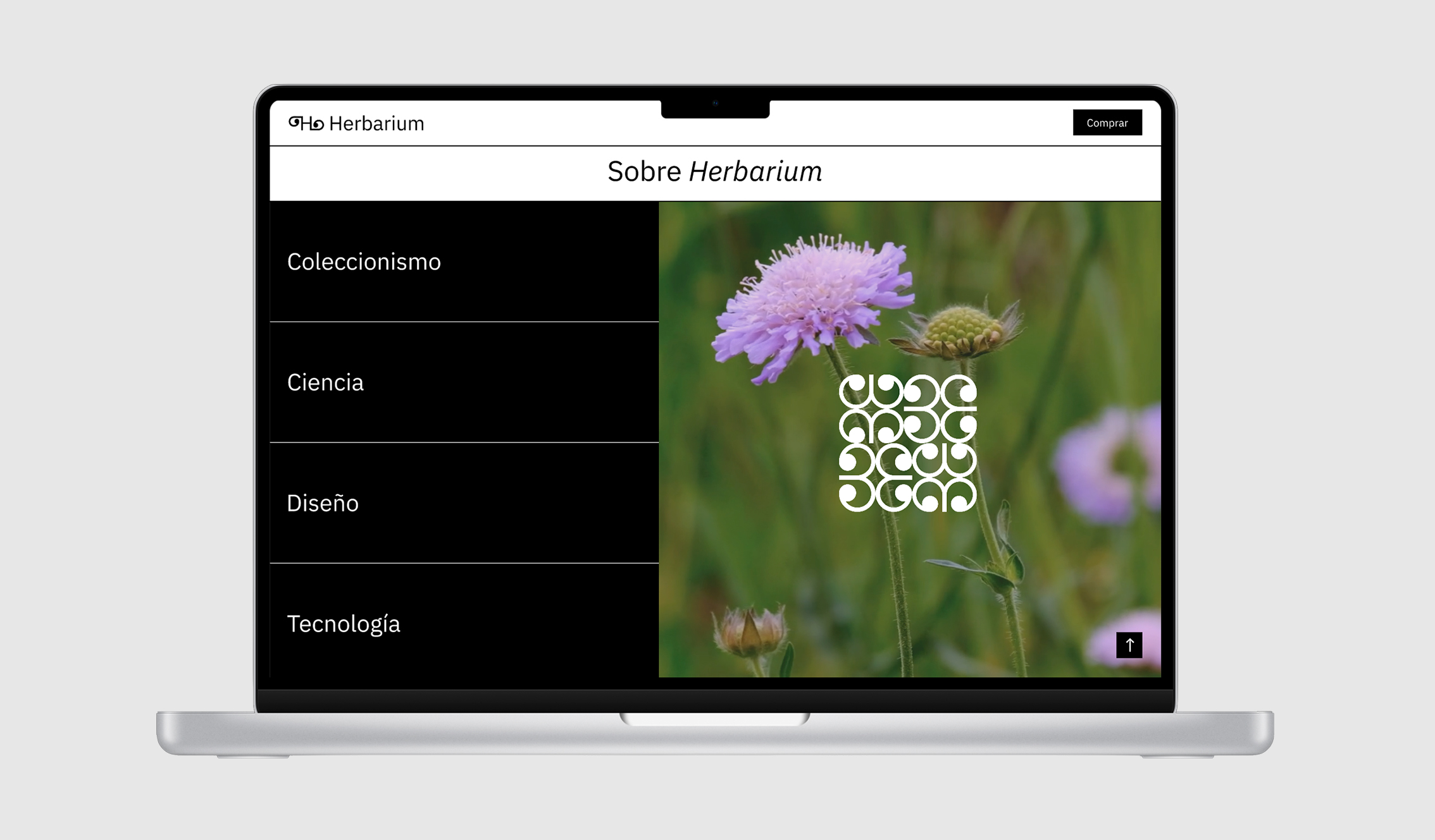 Mockup_landing_page_herbarium_2