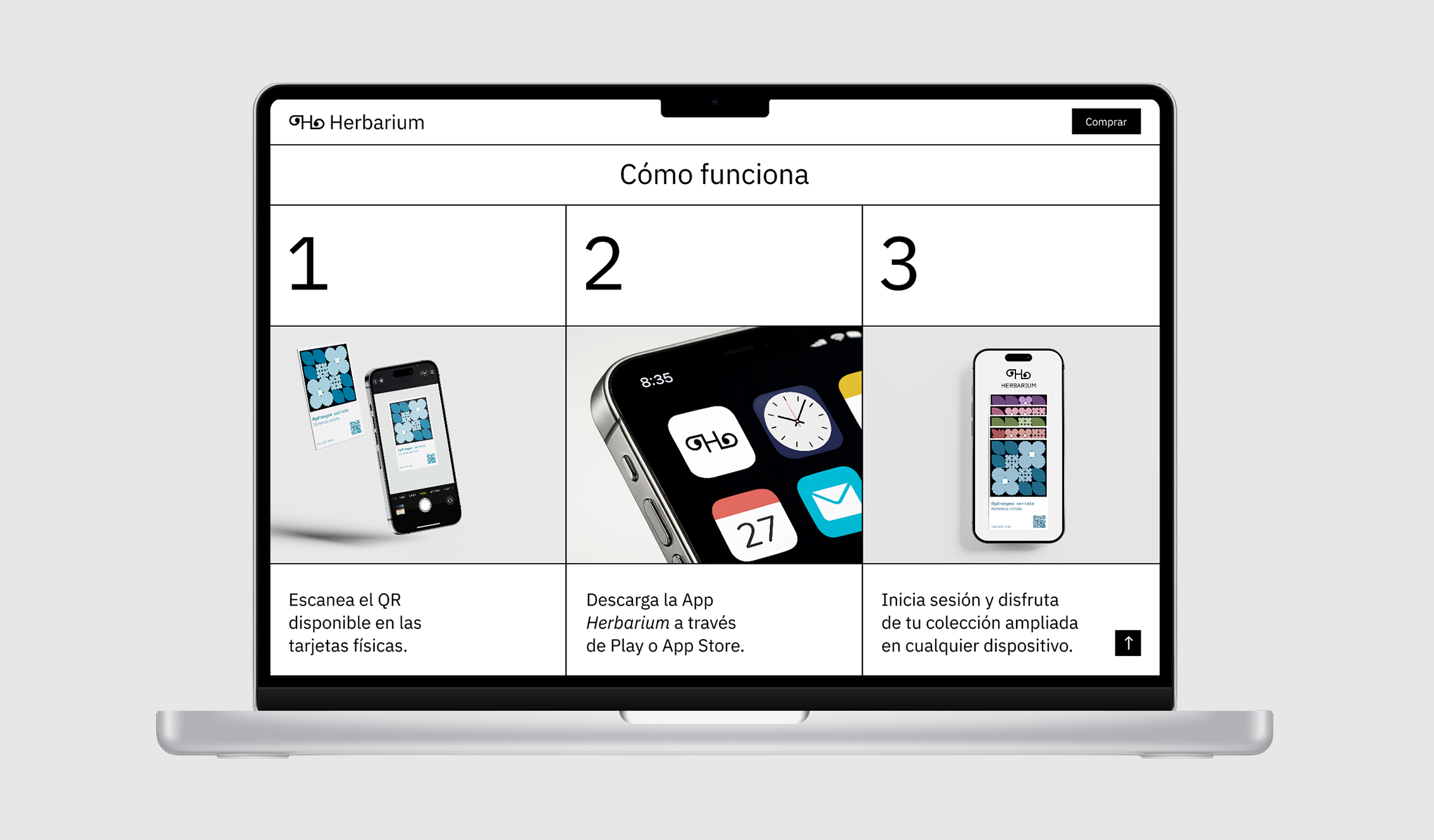 Mockup_landing_page_herbarium_3