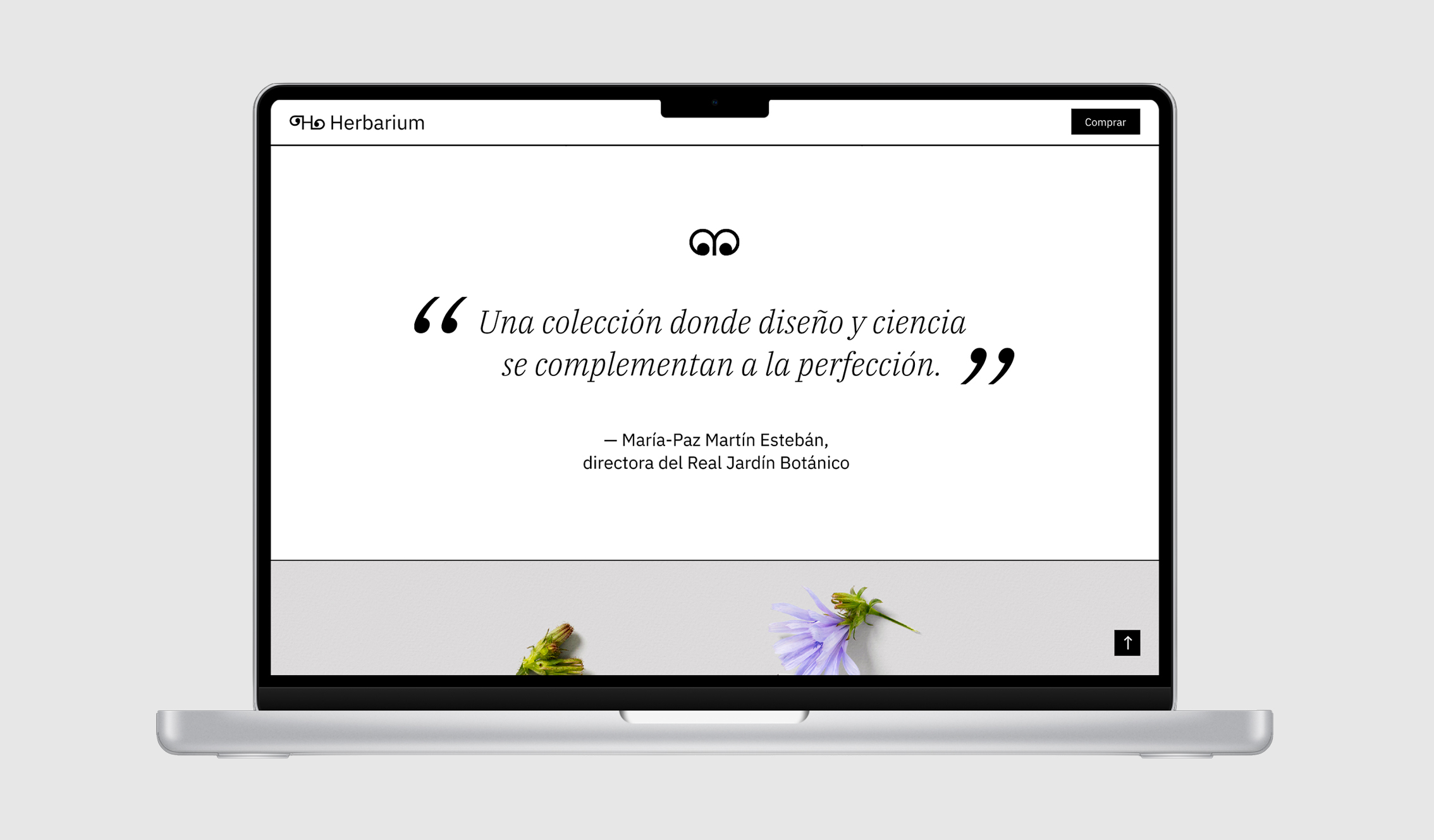 Mockup_landing_page_herbarium_4