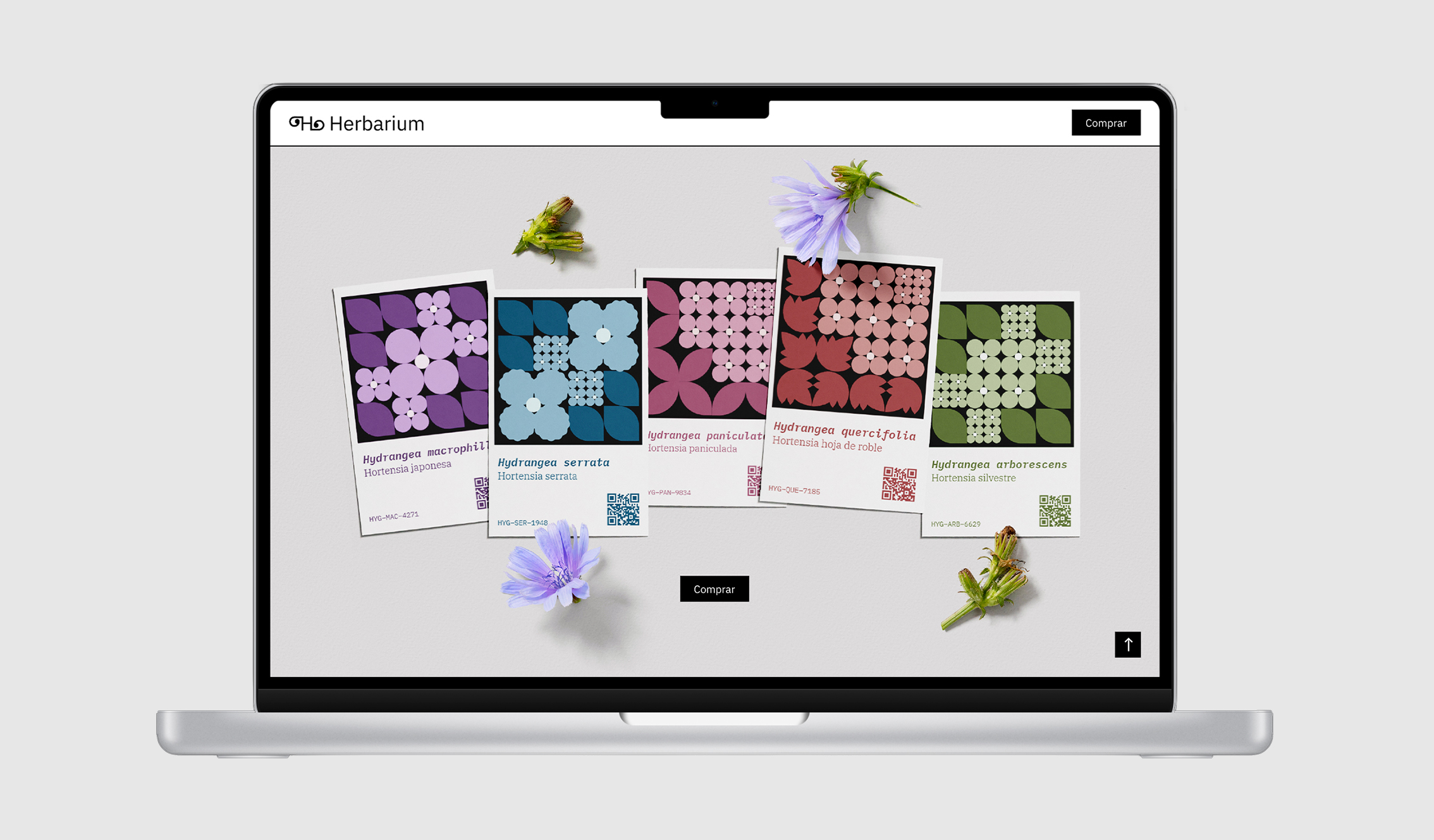 Mockup_landing_page_herbarium_5