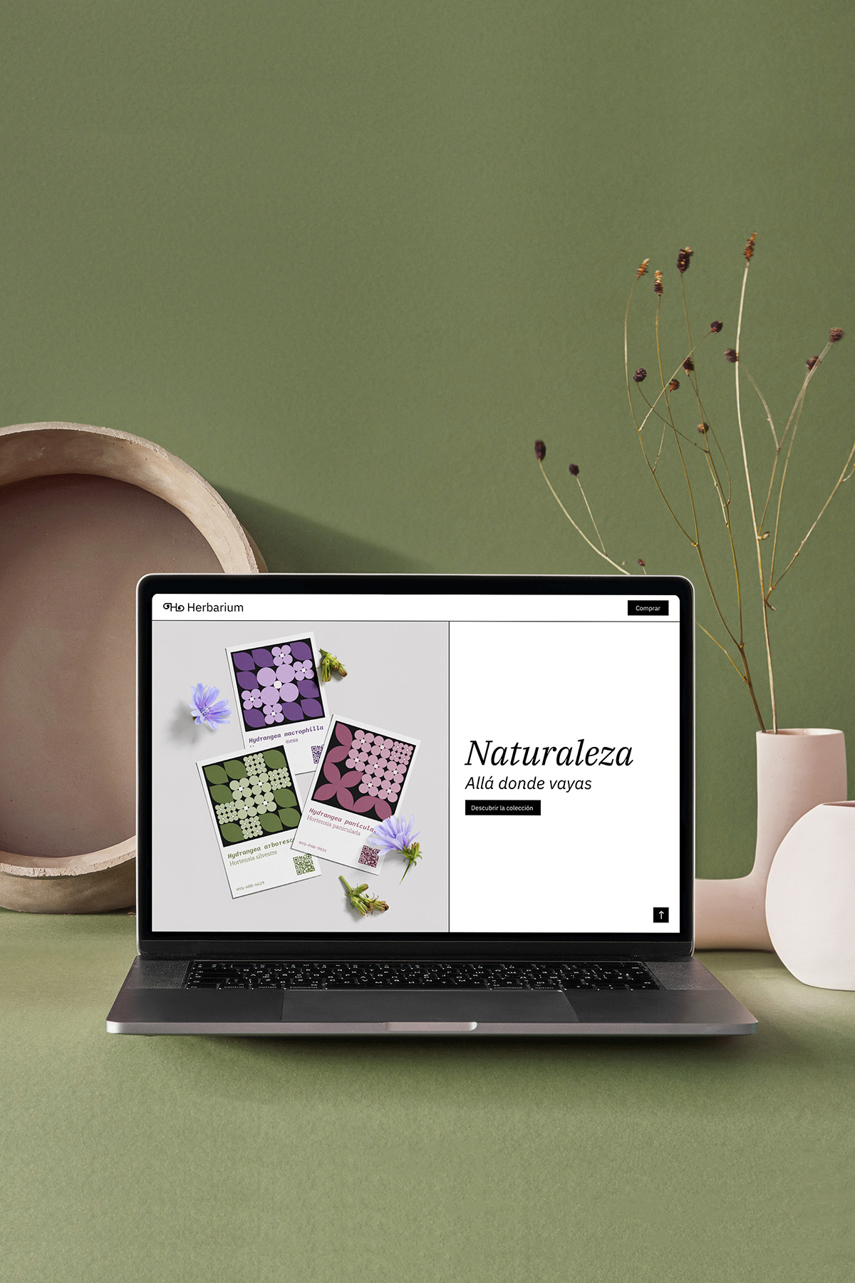 anaarce.net_inicio_herbarium_responsive